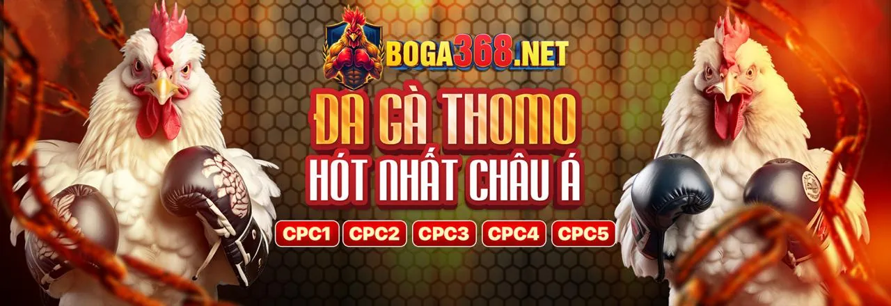 Sòng bạc Trực tiếp JBO Casino